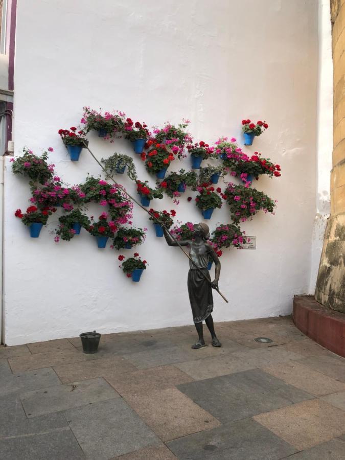 La Regaora apartamento Cordova Esterno foto